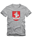 Vilniaus herbas Vilniaus herbas